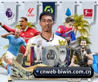 cnweb-biwin.com.cn APP 界面